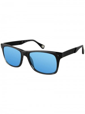 Robert Graham Breck Sunglasses Negrii | 632850-LPS