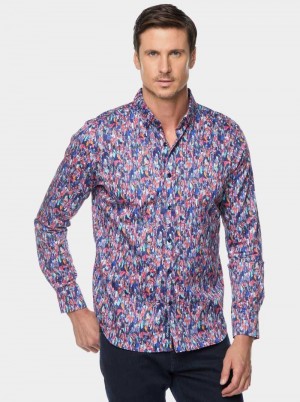 Robert Graham Brighton Long Sleeve Button Down Shirt Multi | 934716-DQR