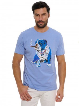Robert Graham Cigar Graham T-shirt Periwinkle | 739480-RLM