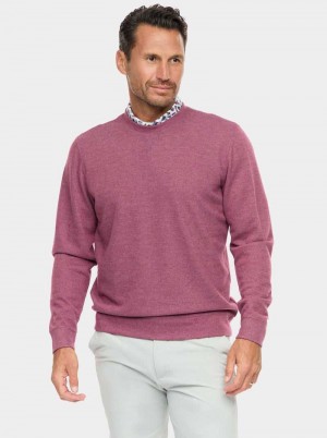 Robert Graham Colbourne Knit Shirt Berry | 624039-RDJ