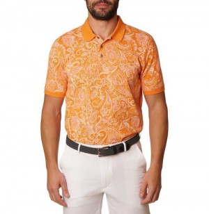 Robert Graham Dozer Polo Portocalii | 305761-UZM