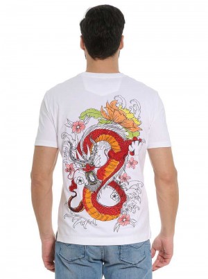 Robert Graham Dragon Roar T-shirt Albi | 103968-QJT