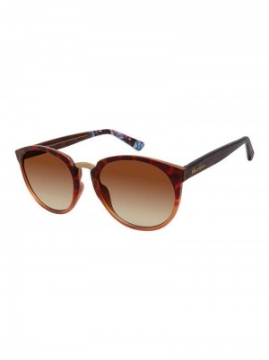 Robert Graham Exuma Sunglasses Tortoise | 874569-BWN