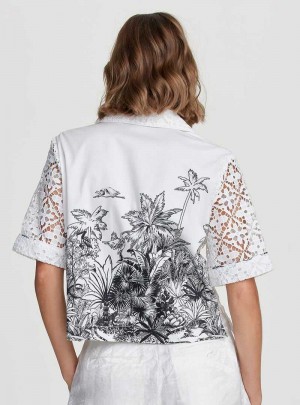 Robert Graham Gemma Shirt Albi | 795032-MAR