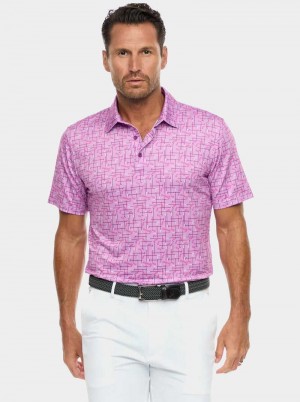 Robert Graham Iron Play Knit Polo Berry | 120873-QYW