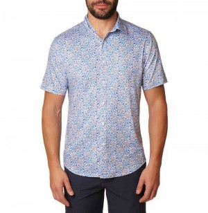 Robert Graham Kotor Short Sleeve Knit Shirt Multi | 206397-XZT