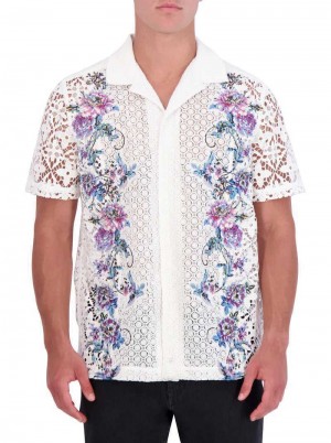 Robert Graham Limited Edition Vine Vista Short Sleeve Button Down Shirt Multi | 269817-ZLV