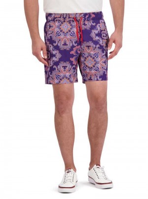 Robert Graham Loki Swim Violet | 249831-IZY