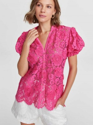 Robert Graham Mila Shirt Roz | 681320-PYZ