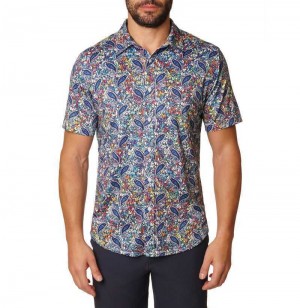 Robert Graham Padova Short Sleeve Knit Shirt Multi | 238054-UDP