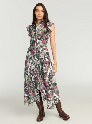 Robert Graham Sadie Dress Multi | 603574-LJT