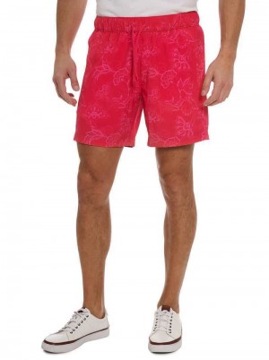 Robert Graham Sator Swim Magenta | 510368-WCQ
