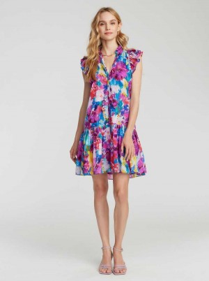 Robert Graham Savannah Dress Multi | 012456-YBA