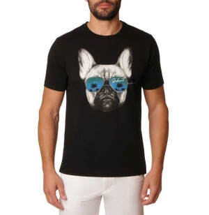 Robert Graham Shady Paws T-shirt Negrii | 378965-YXQ