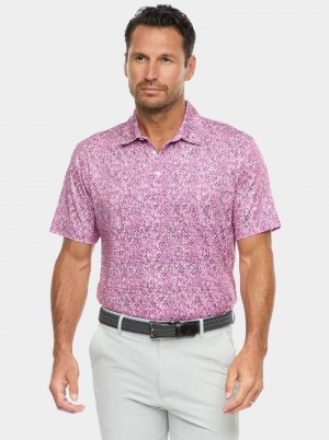 Robert Graham Torin Short Sleeve Knit Polo Bleumarin | 104529-XSB